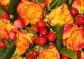 Kytice oranžových růží - růže v plamenech | rozvoz květin | Doručení květin po Praze | poslat květiny v Praze | dovoz květin praha 
