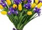 žluté  tulipány a irisy  | dárkové kytice |