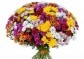 Kytice z mini chryzantém | rozvoz květin | Doručení květin po Praze | poslat květiny v Praze | dovoz květin praha 