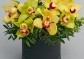 Flowerbox orchideí Cymbidium